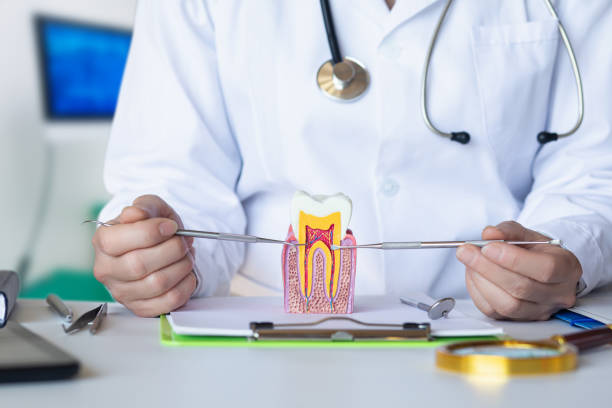 Best Emergency Root Canal Therapy in Marion, OH